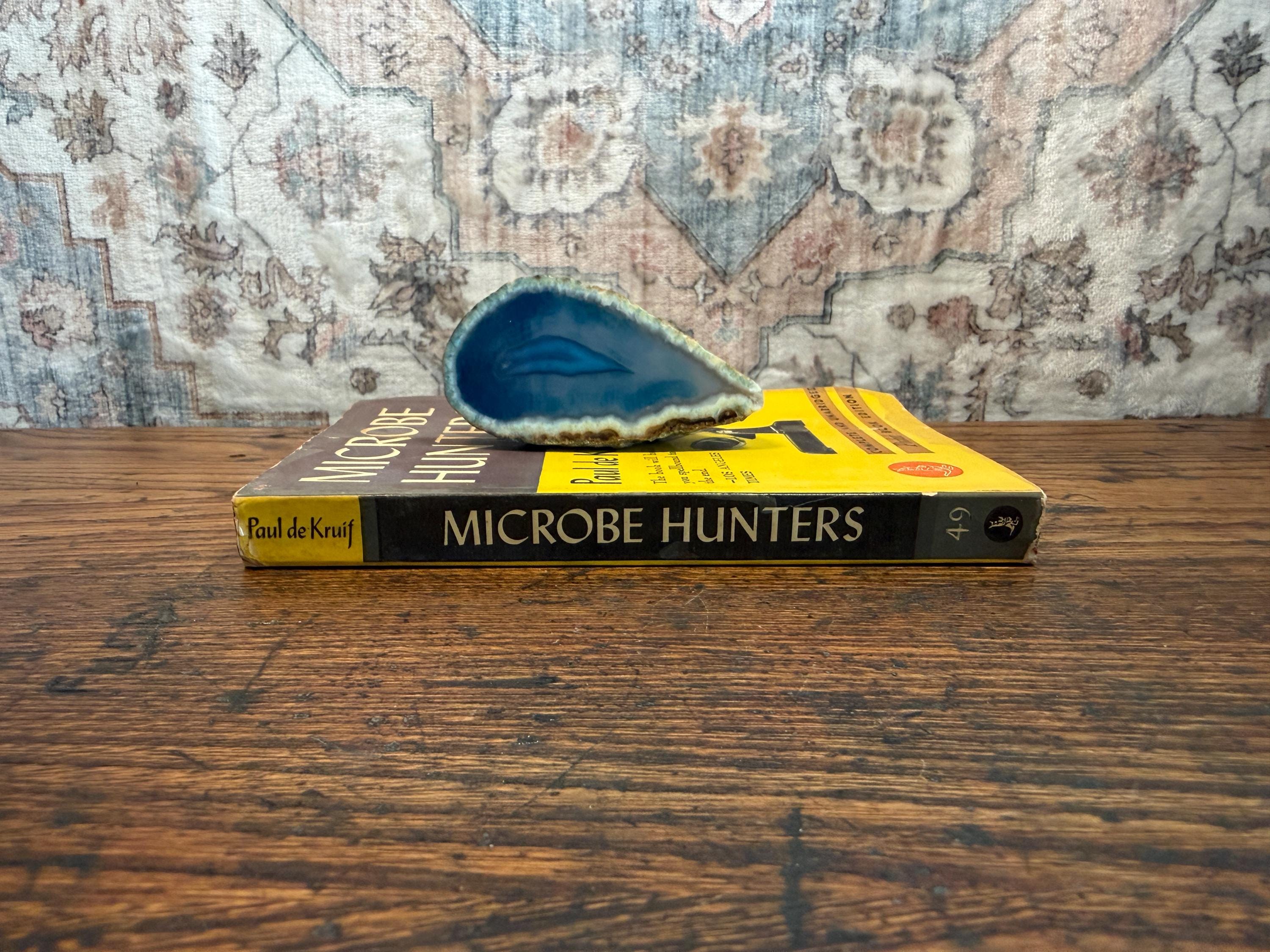 Microbe Hunters by Paul de Kruif | 1941 Paperback