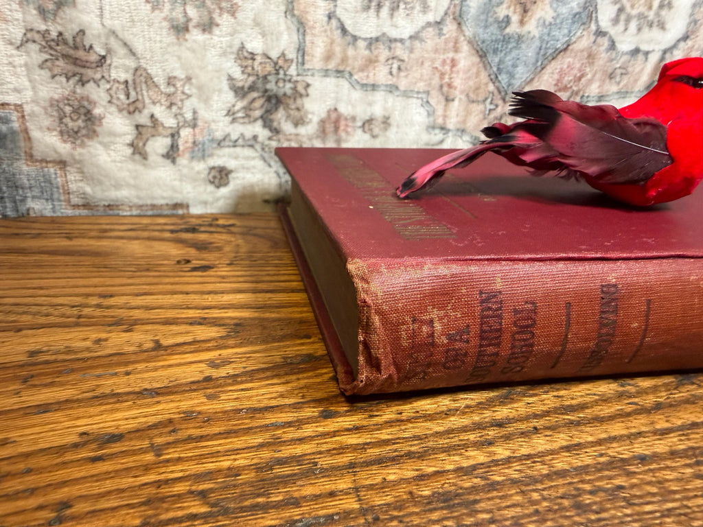 Story of a Southern School by Arthur Kinsolving | Hardcover 1922