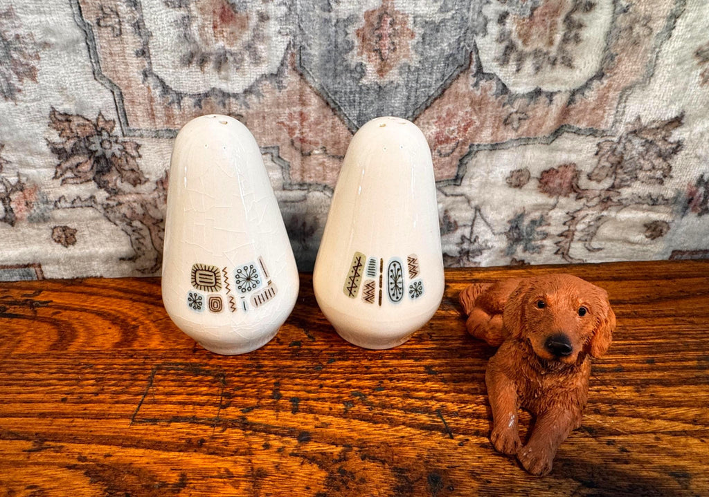 Salt and Pepper Shakers | 1960s Canonsburg Temporama