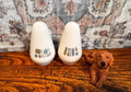 Salt and Pepper Shakers | 1960s Canonsburg Temporama