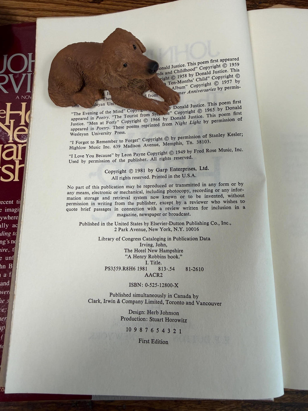 The Hotel New Hampshire by John Irving | First Edition Hardcover 1981