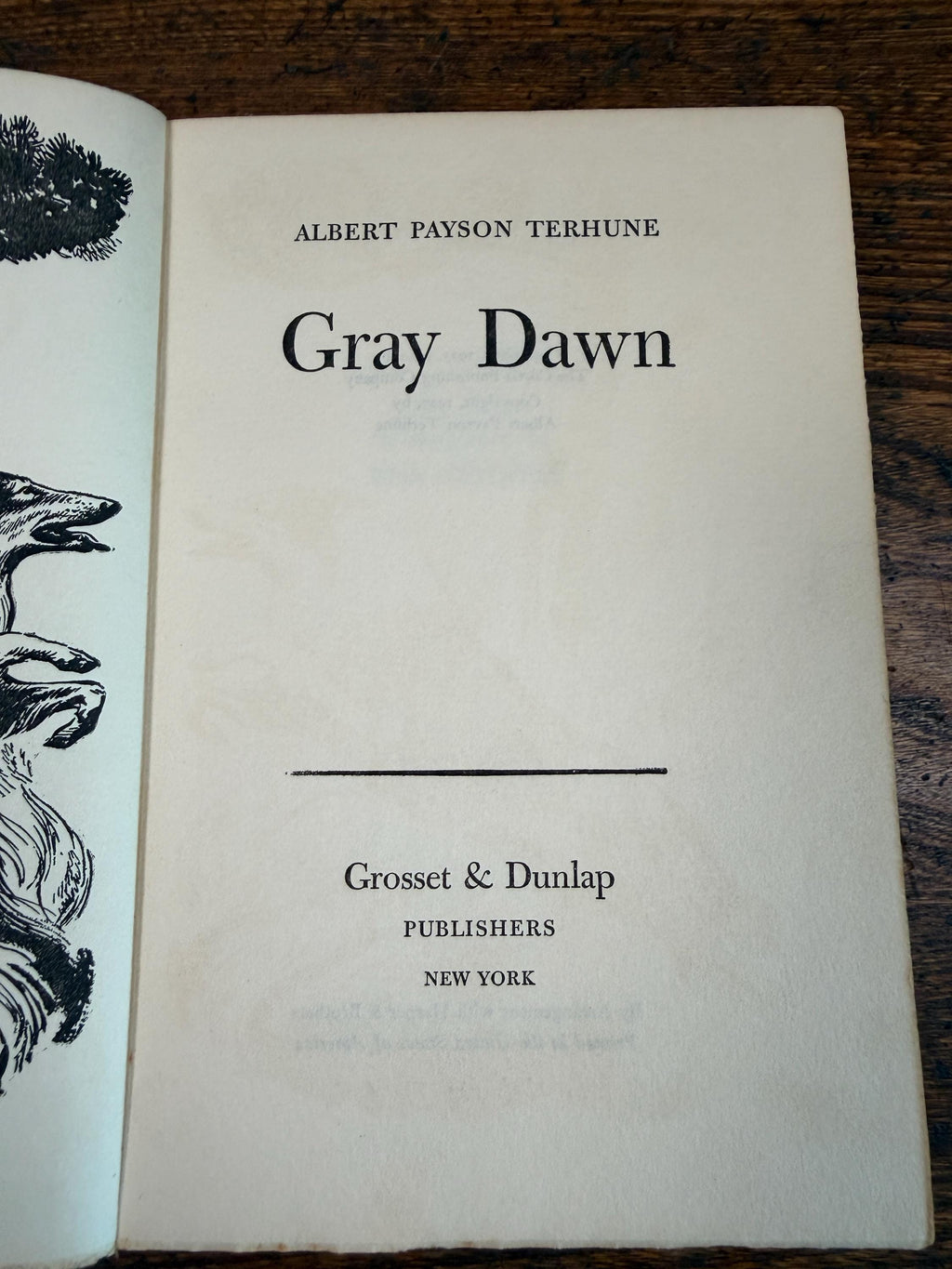 Gray Dawn by Albert Payson Terhune | Hardcover 1927