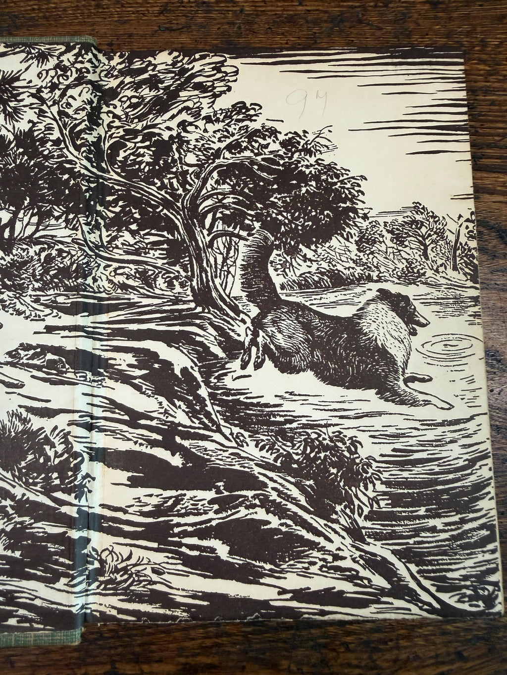Gray Dawn by Albert Payson Terhune | Hardcover 1927