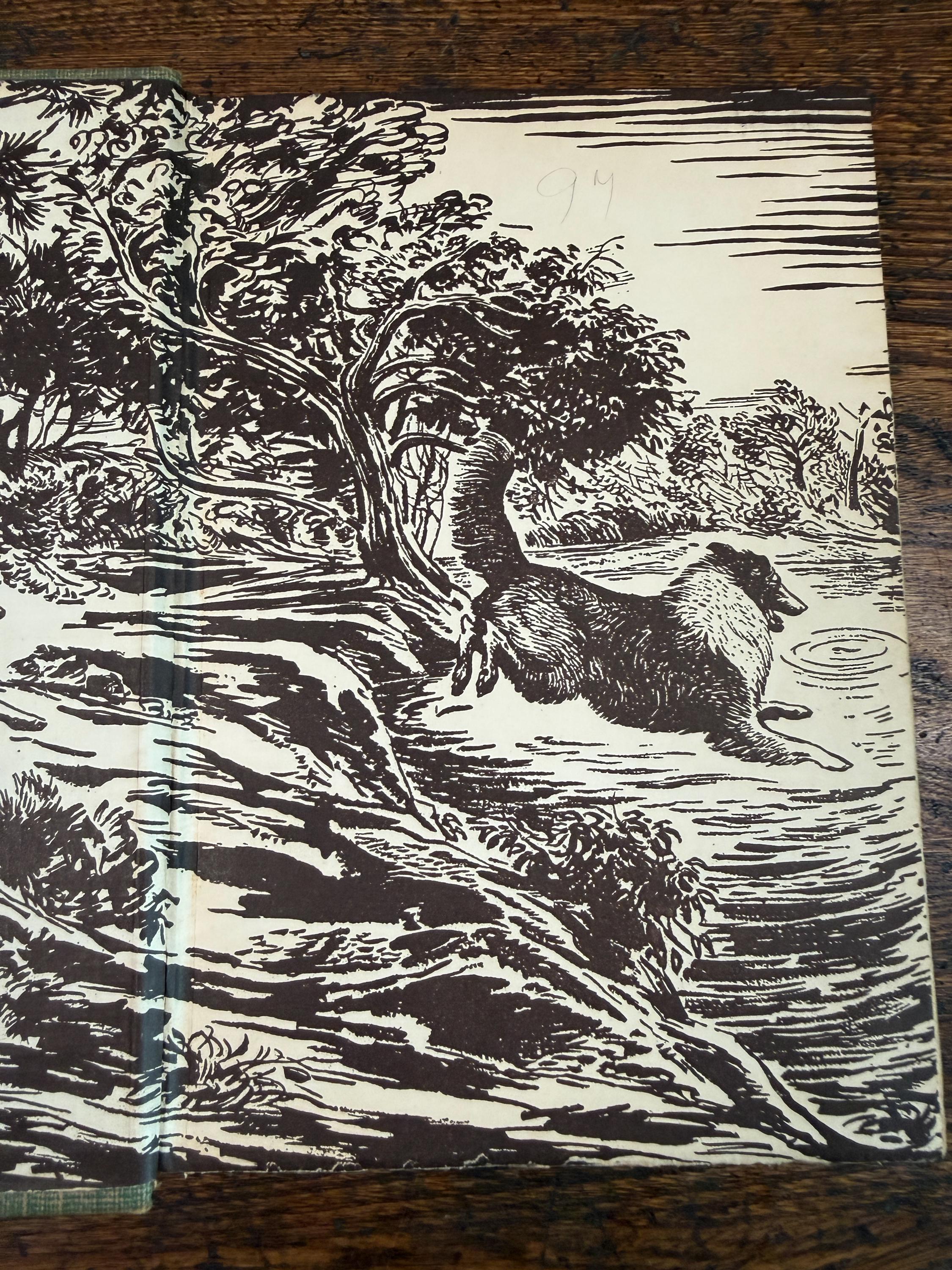 Gray Dawn by Albert Payson Terhune | Hardcover 1927