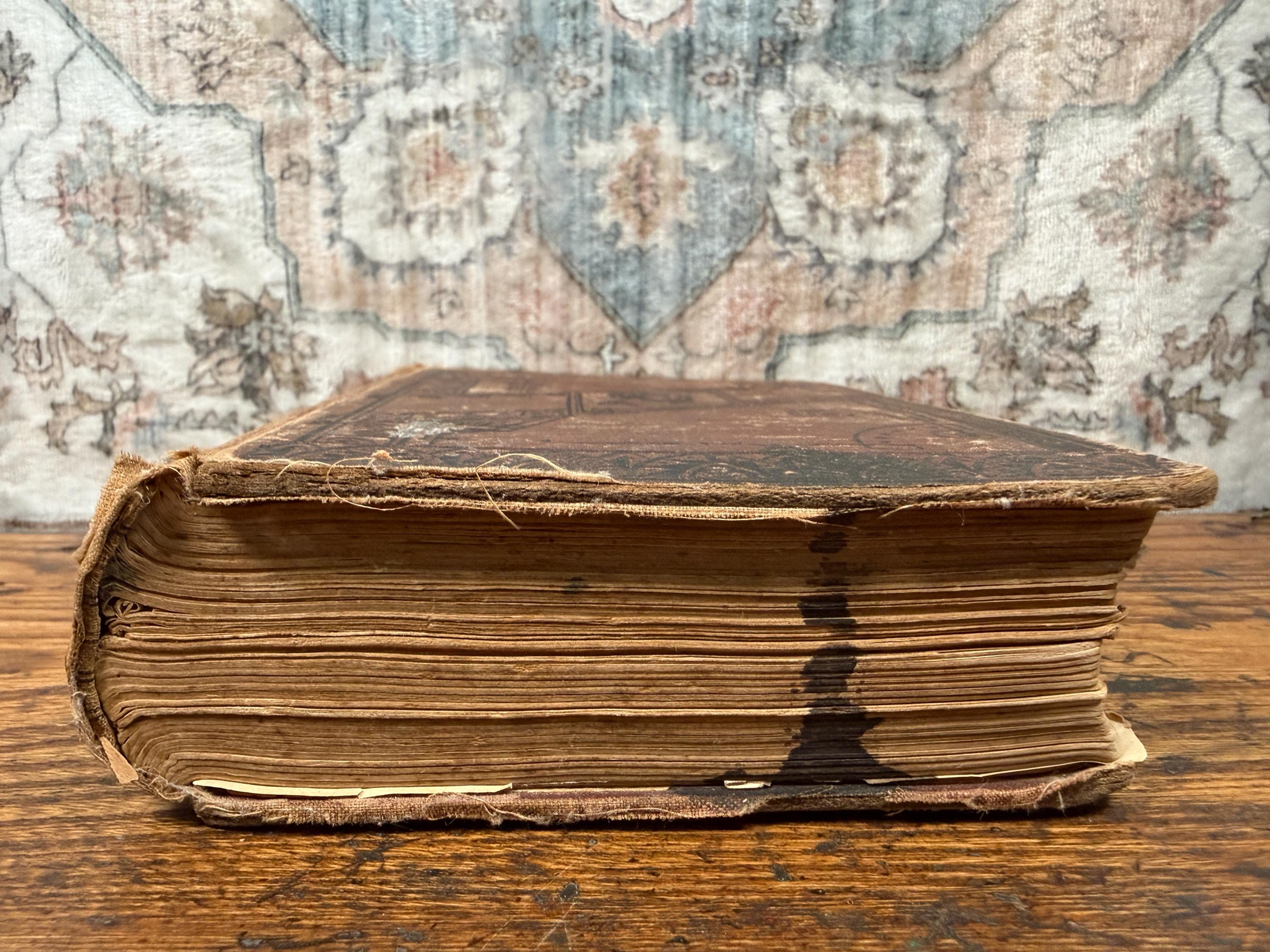 The Ladies’ Medical Guide by S. Pancoast, M.D. | Antique Hardcover 1875