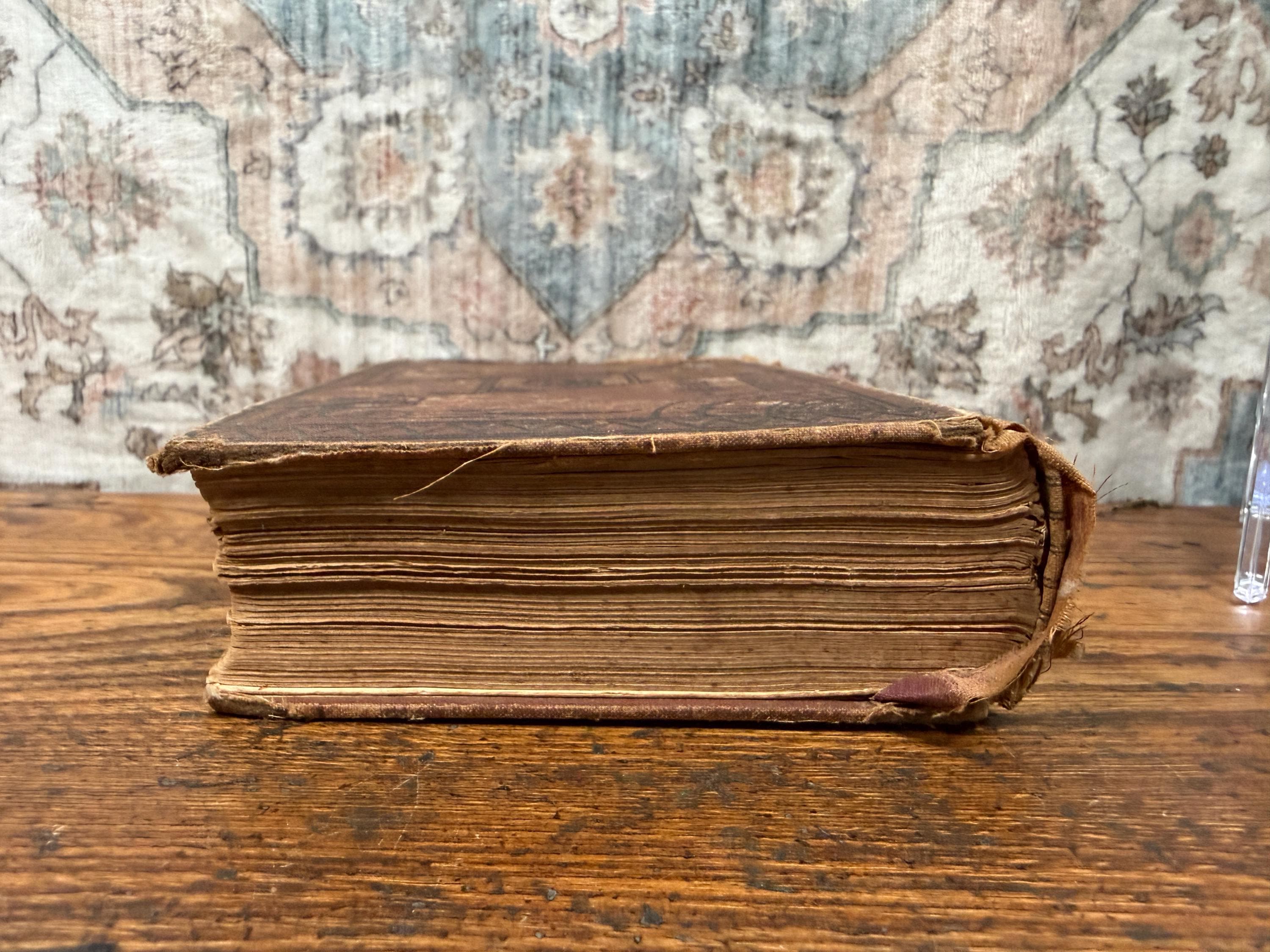 The Ladies’ Medical Guide by S. Pancoast, M.D. | Antique Hardcover 1875
