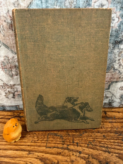 Gray Dawn by Albert Payson Terhune | Hardcover 1927