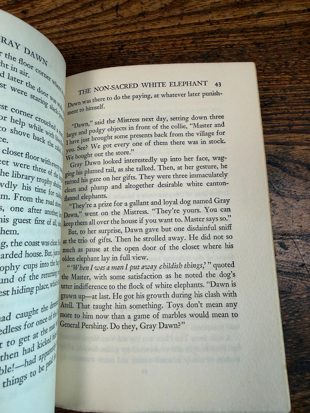Gray Dawn by Albert Payson Terhune | Hardcover 1927