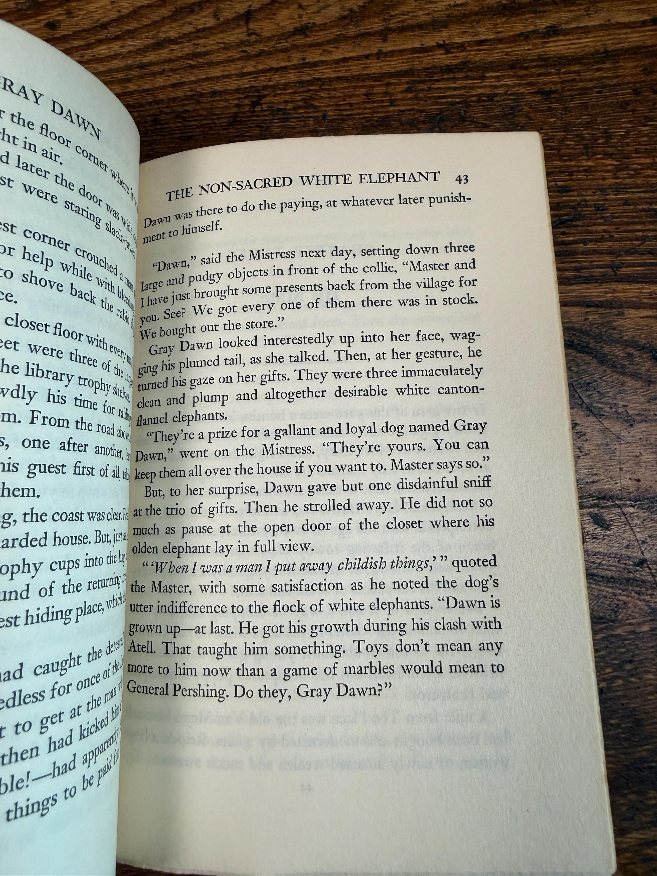 Gray Dawn by Albert Payson Terhune | Hardcover 1927
