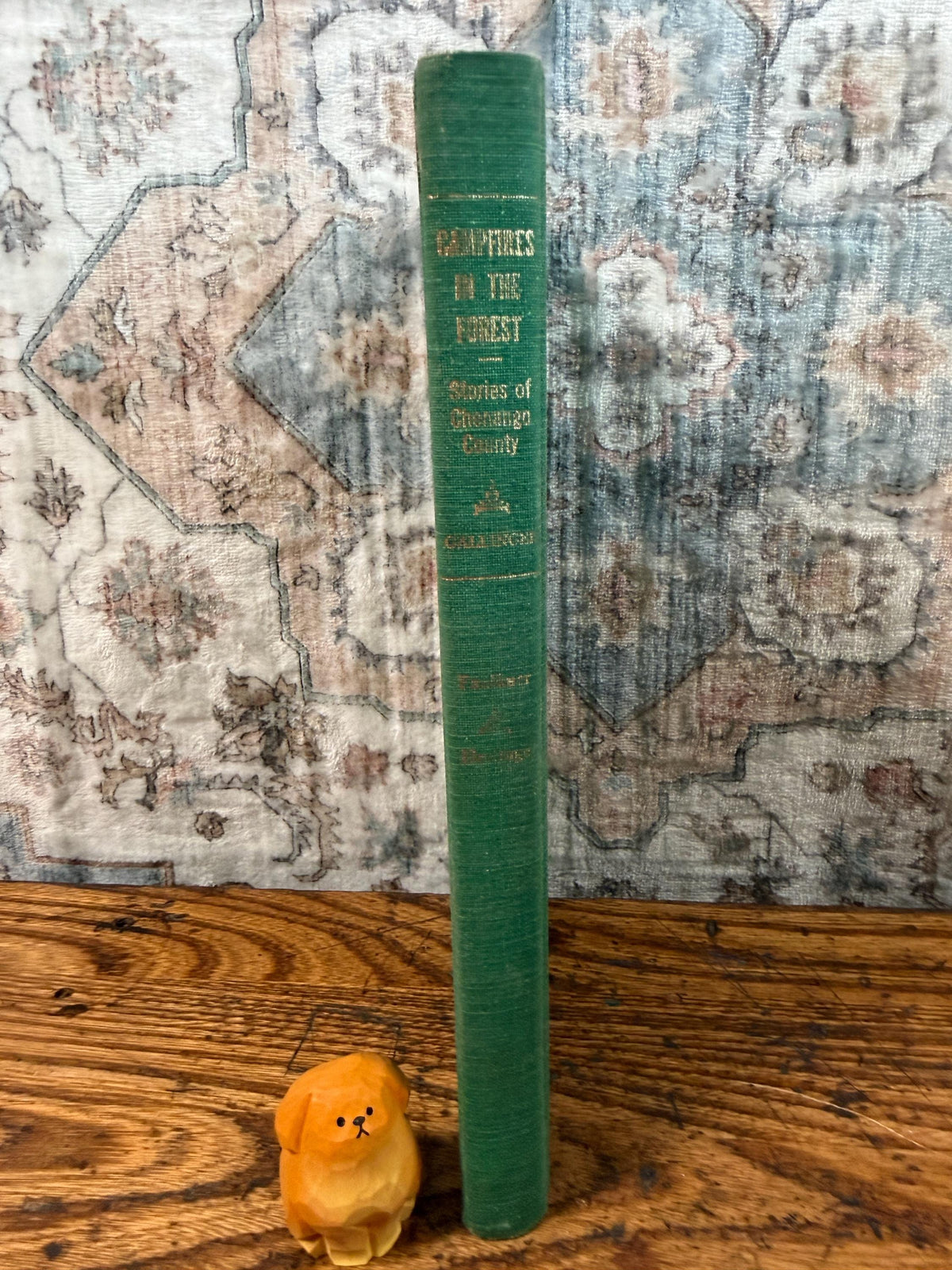 Campfires in the Forest: Stories of Chenango County by Roy Gallinger | Hardcover 1966