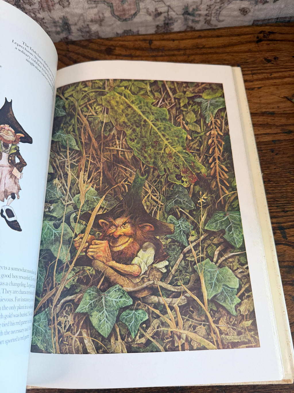 Faeries by Brian Froud & Alan Lee | Hardcover 1979