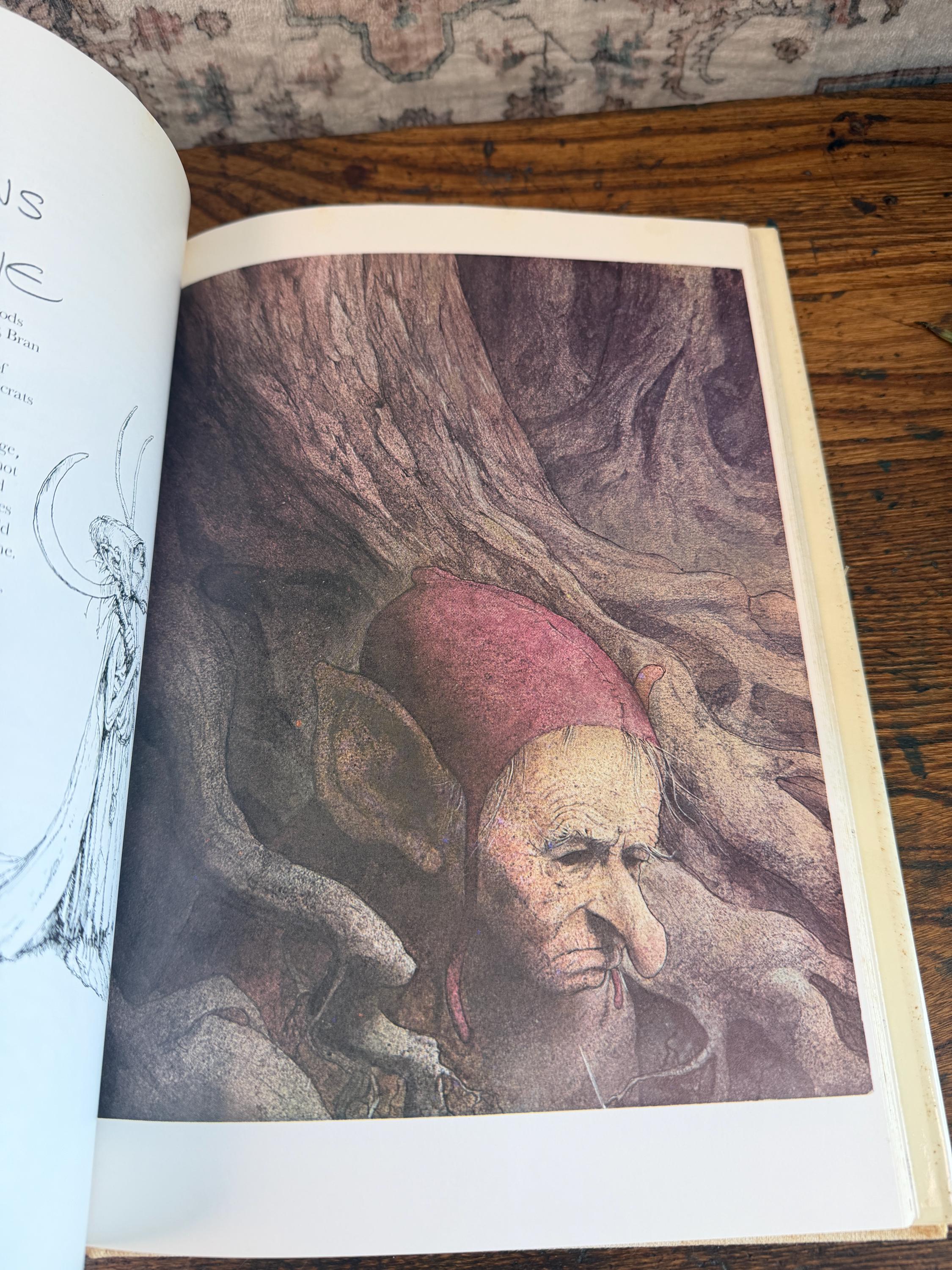 Faeries by Brian Froud & Alan Lee | Hardcover 1979