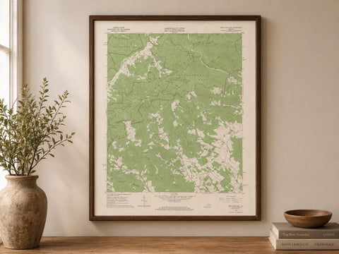 Vintage Swift Run Gap Virginia Topographic Map 1965 | USGS Quadrangle