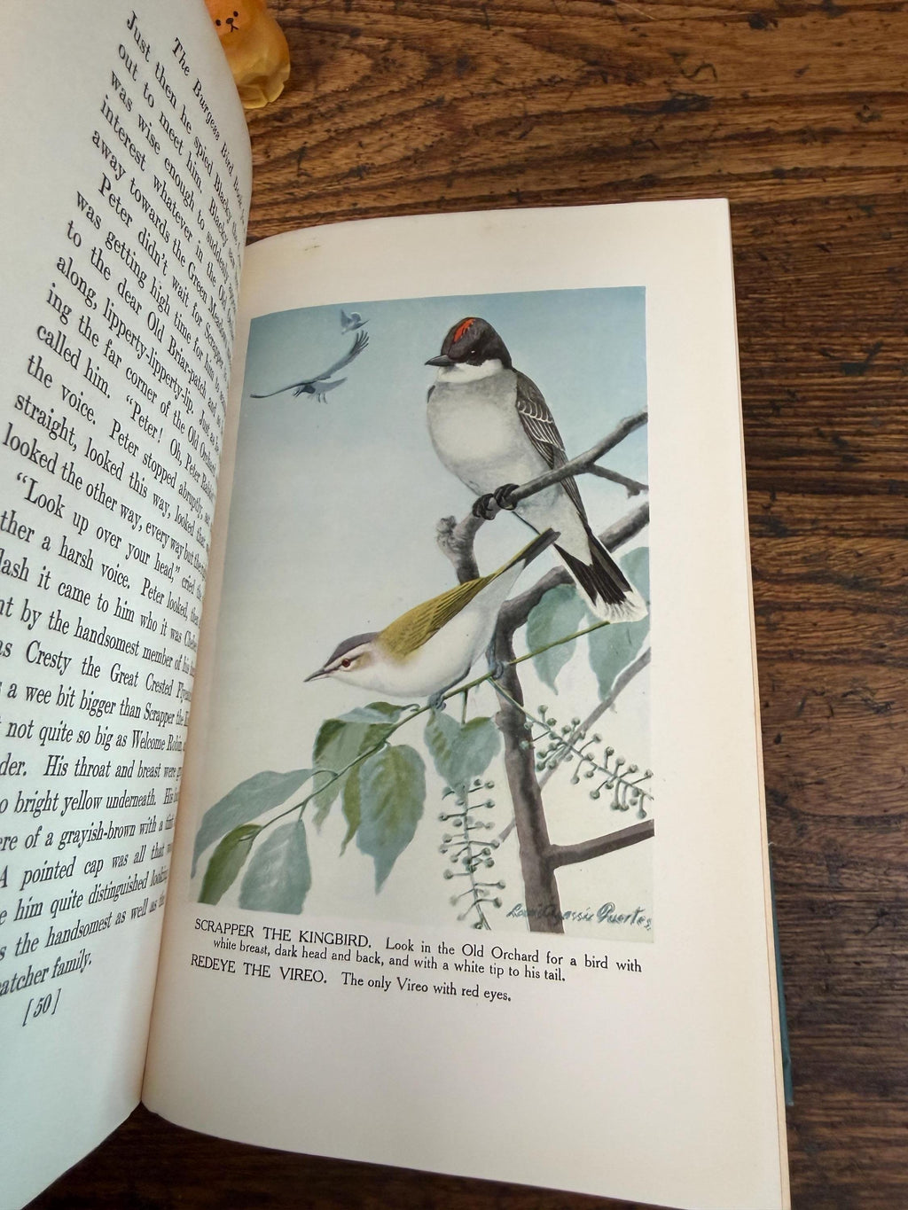 The Burgess Bird Book for Children by Thornton W. Burgess | Hardcover 1919