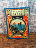 Italian Travel Books Set | Ricordo di Capri, Roma c.1920s Hardcover Views