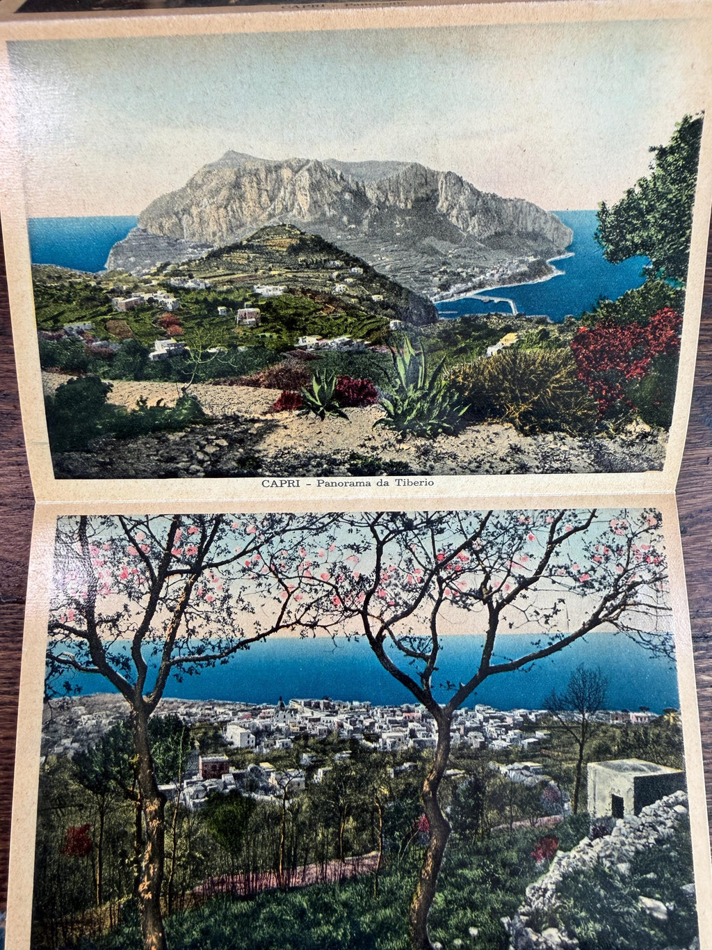 Ricordo di Capri & Ricordo di Roma Parte I and II Set | Hardcover Travel Souvenir Books c.1920s