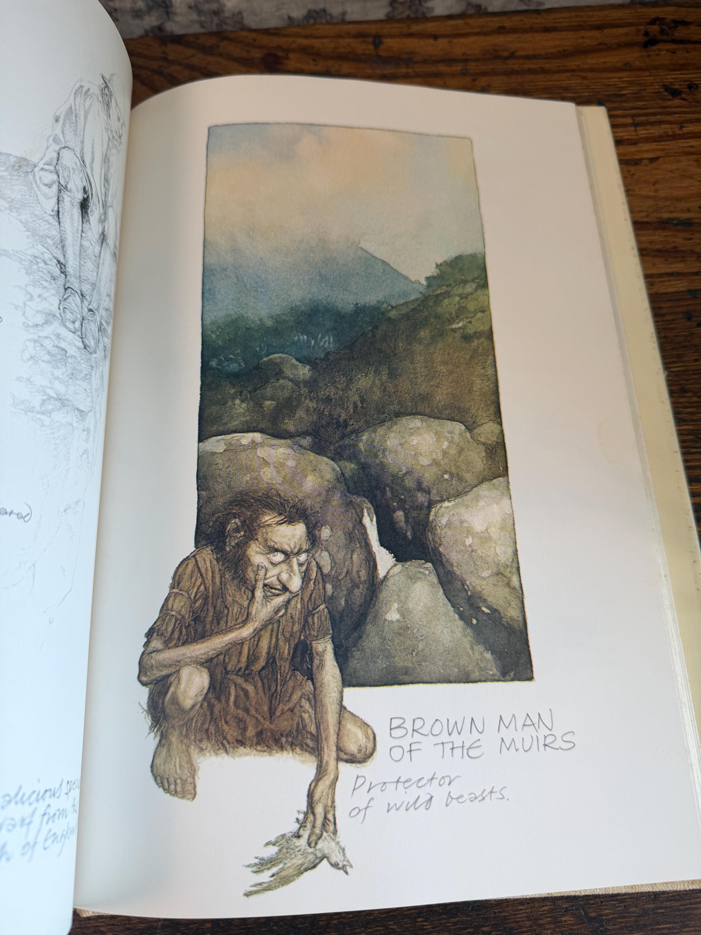 Faeries by Brian Froud & Alan Lee | Hardcover 1979