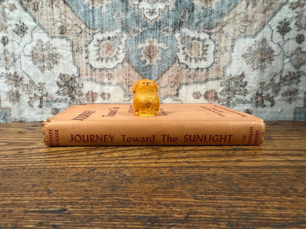 Journey Toward the Sunlight by Stanley Walker | Hardcover 1947
