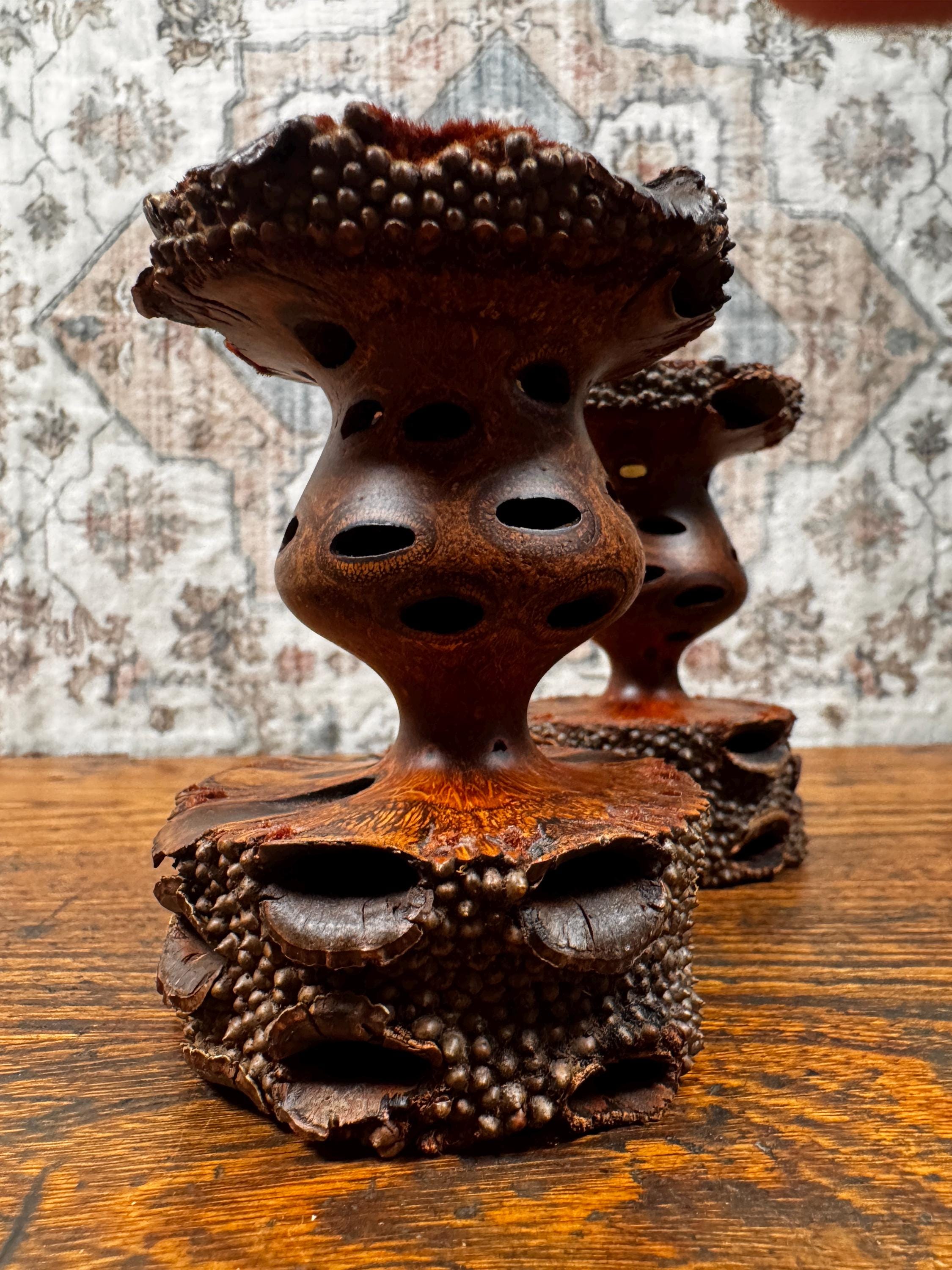 Western Australian Banksia Nut Candlestick Holders by Terry Wilson | Handmade Pair