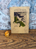 May include: A tan hardcover book titled Along the Trail by Katherine M. Yates, featuring a dark brown and green illustration of a mountain landscape, accompanied by a small, smooth, orange-yellow carved wooden figurine of a seated animal.