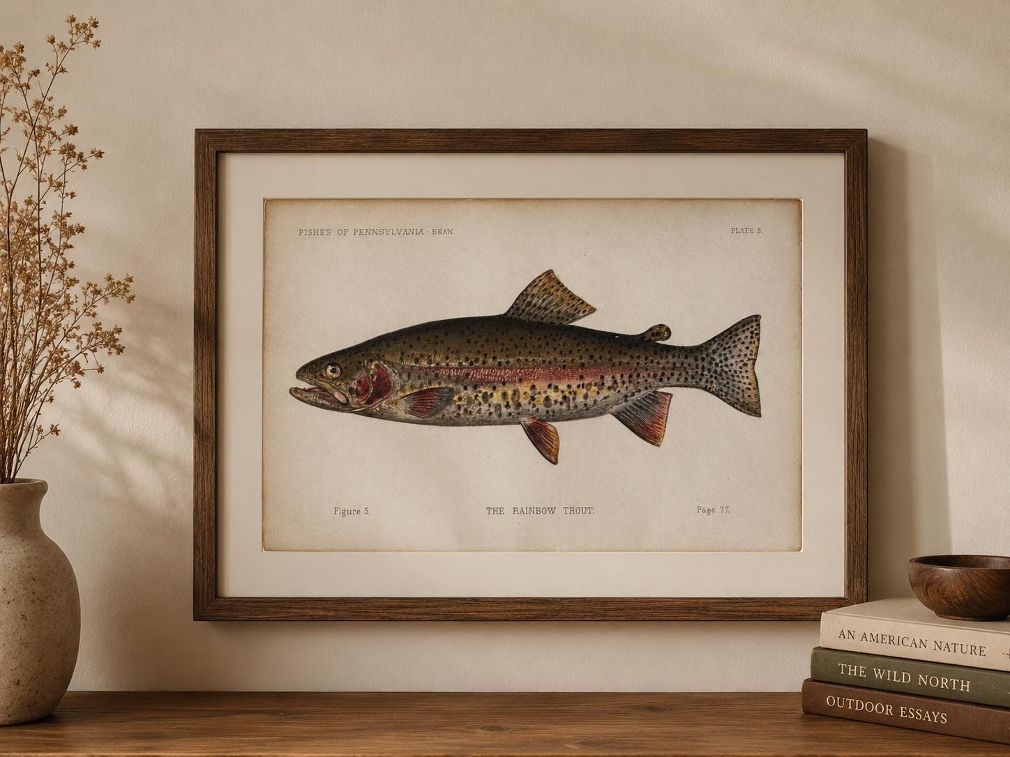 Rainbow Trout Fish Book Plate Print | Fishes of Pennsylvania 1889–1891