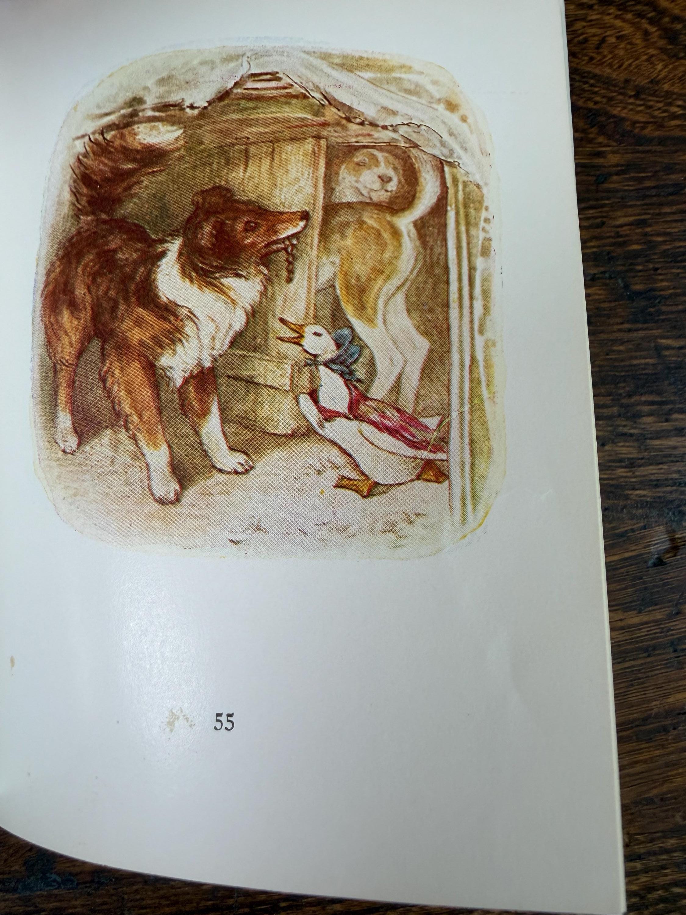 Tom Kitten, Jemima Puddle-Duck & Tailor of Gloucester by Beatrix Potter | Hardback Set