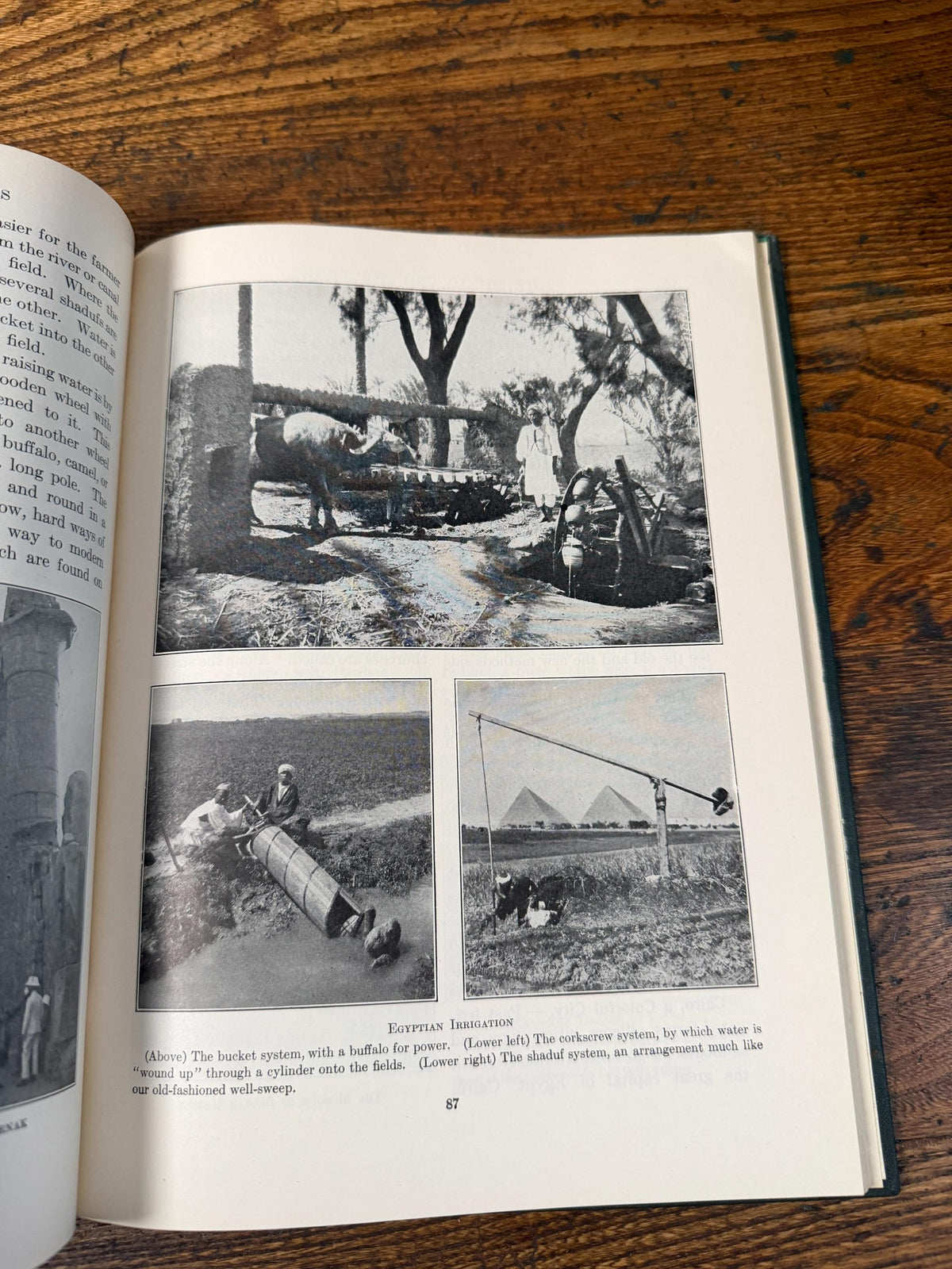 Our World Today Geography Book Set | 1950-1952 Hard Cover