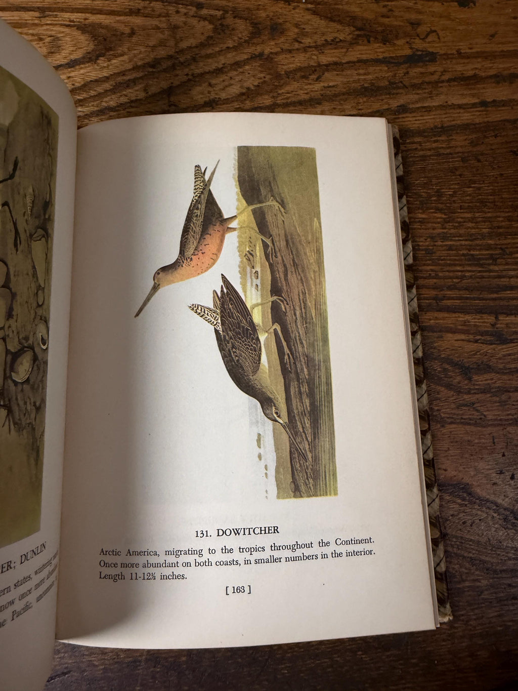 Audubon’s Birds of America | 1950 Hardback, Book Club Edition