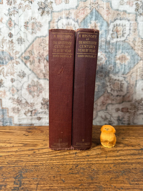 A History of the Nineteenth Century Year by Year by Edwin Emerson Jr. | 1902 Two-Book Set