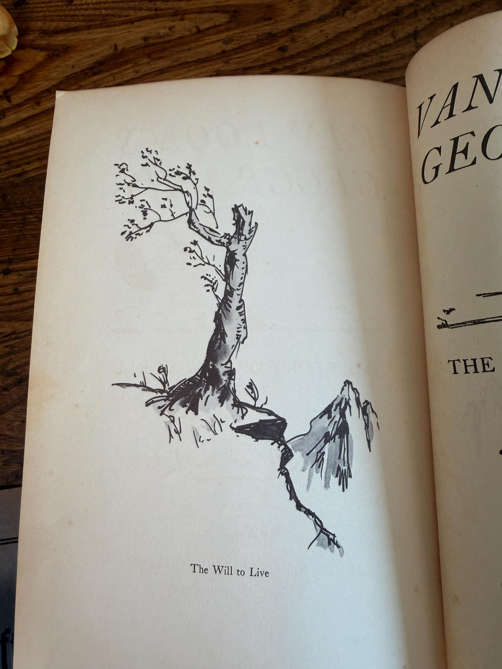 Van Loon's Geography by Hendrik Willem van Loon | 1937 Hardback