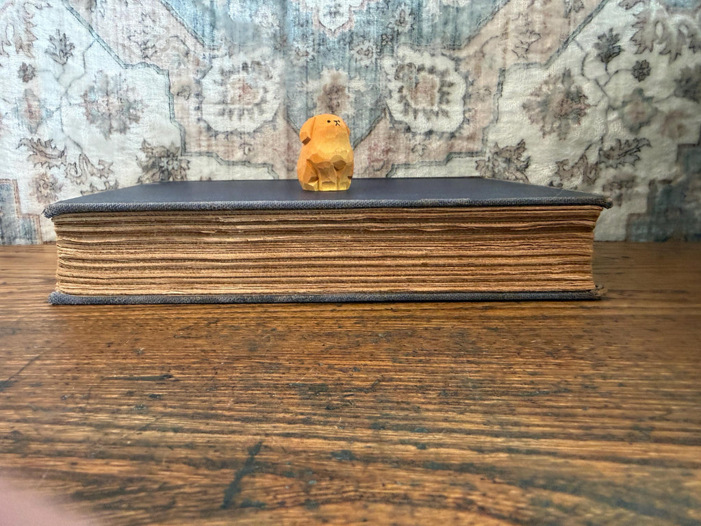Van Loon's Geography by Hendrik Willem van Loon | 1937 Hardback