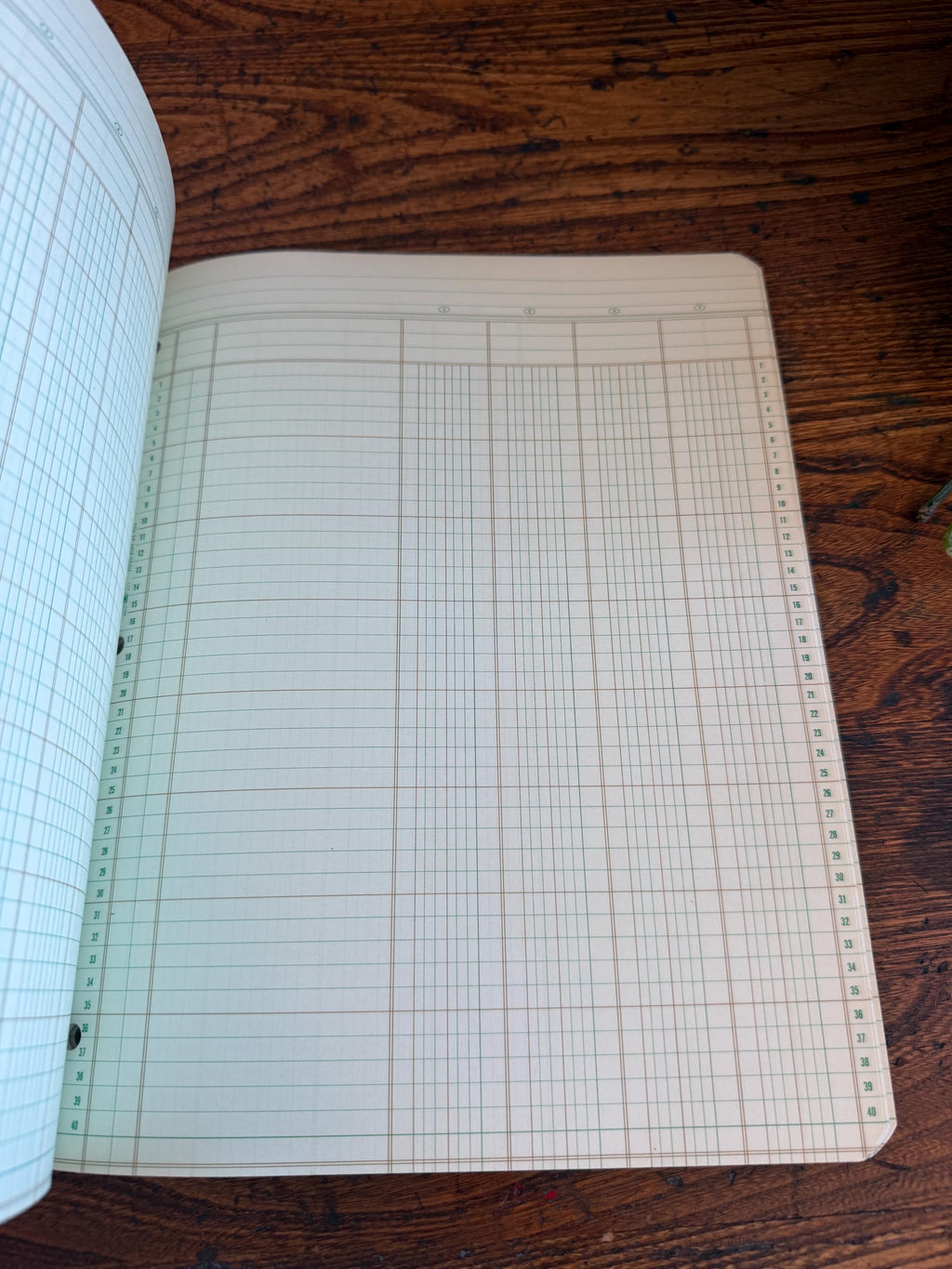 Eye-Ease Analysis Pad with Numbered Lines and Columns