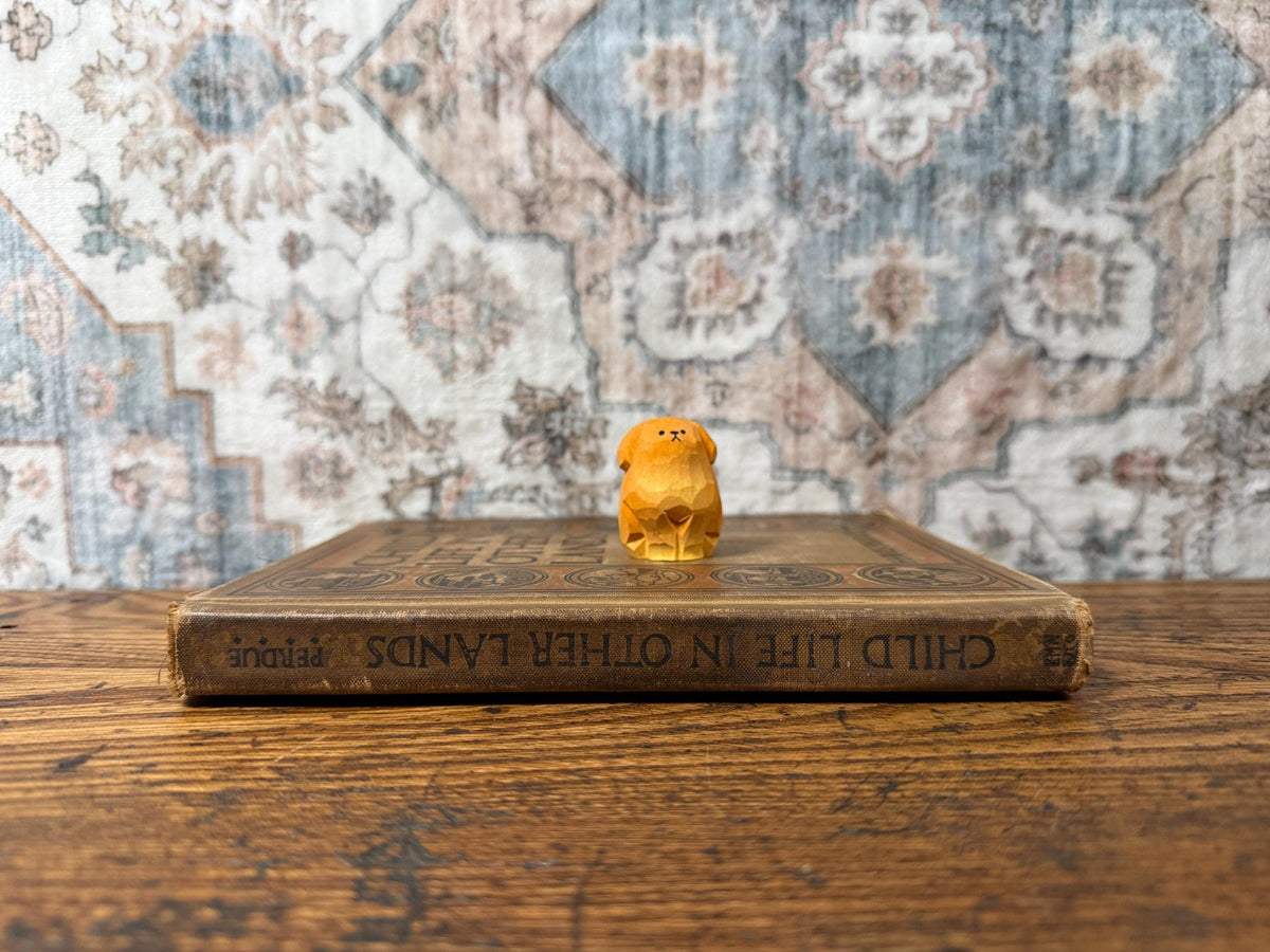 Child Life in Other Lands by H. Avis Perdue | 1918 Hardback, Illustrated, Ex-Library
