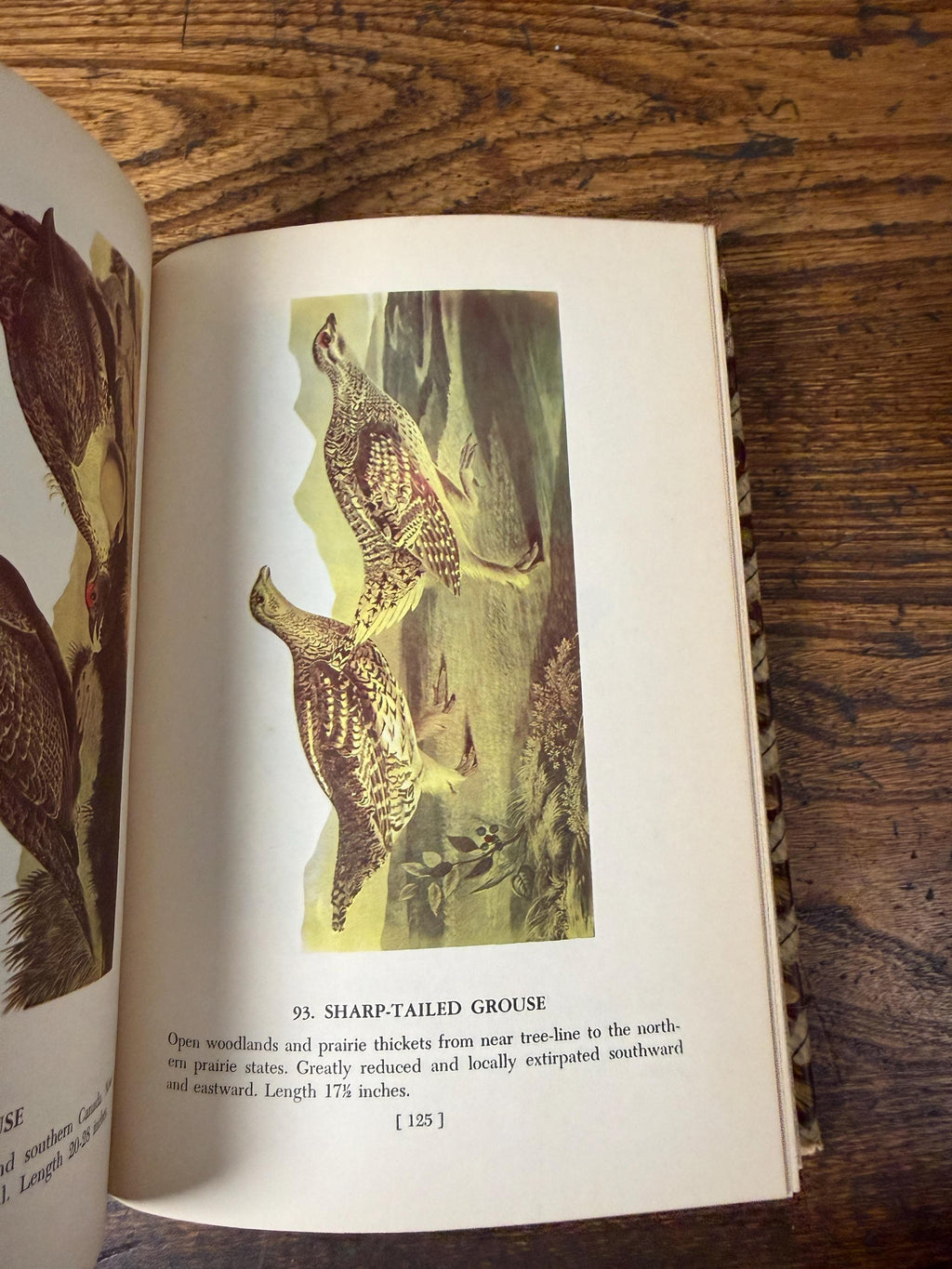 Audubon’s Birds of America | 1950 Hardback, Book Club Edition