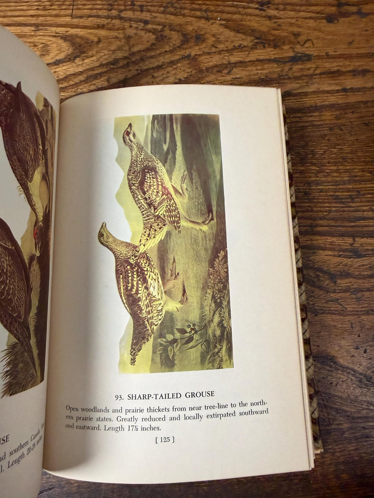 Audubon’s Birds of America | 1950 Hardback, Book Club Edition
