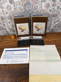 Apple Business BASIC Reference Manual and Diskware for Apple III