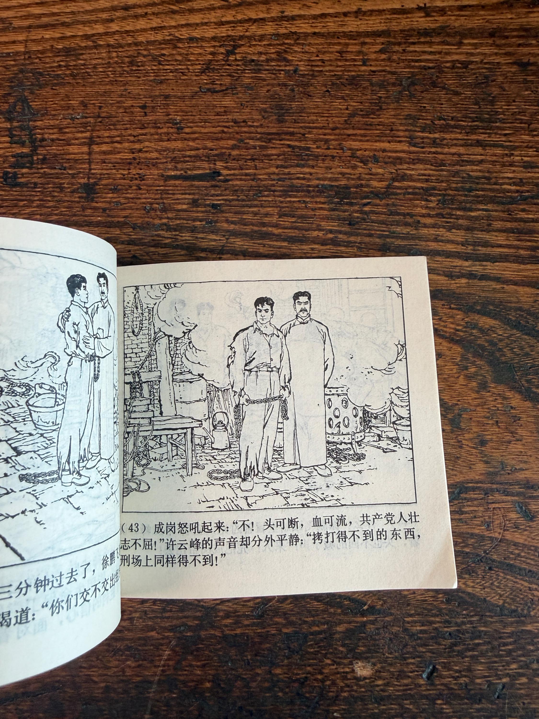 Lot of 5 Vintage Chinese Illustrated Books