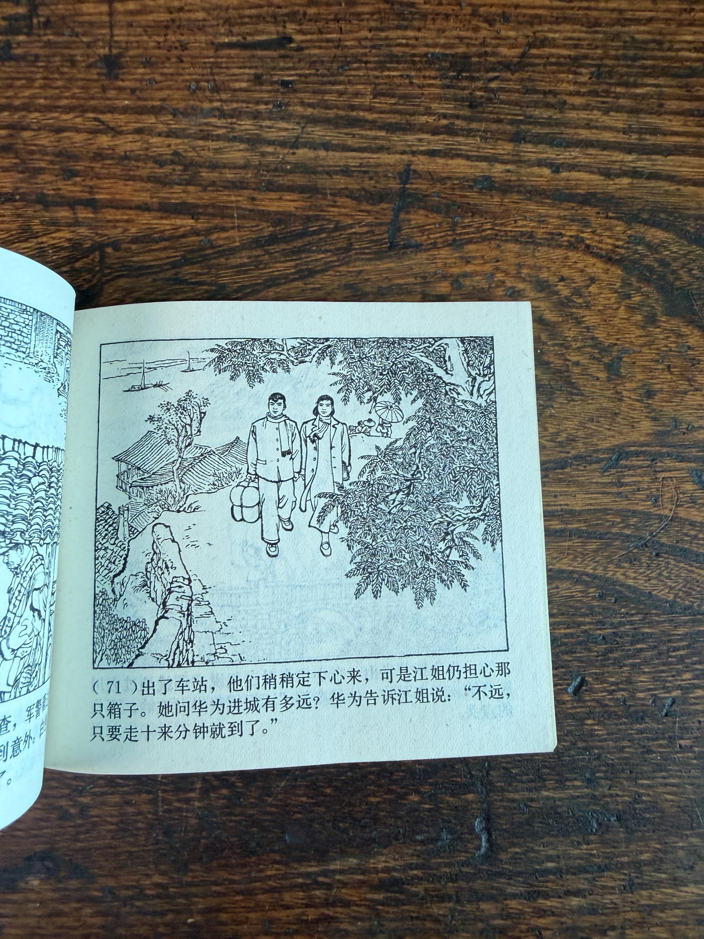 Lot of 5 Vintage Chinese Illustrated Books