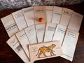 Lot of 16 Vintage Travel Brochures of India