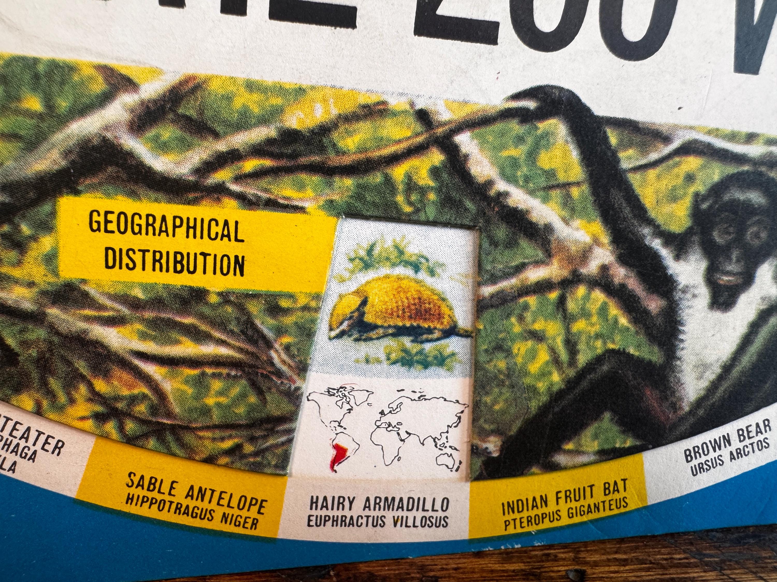 The Zoo Wheel Educational Animal Chart