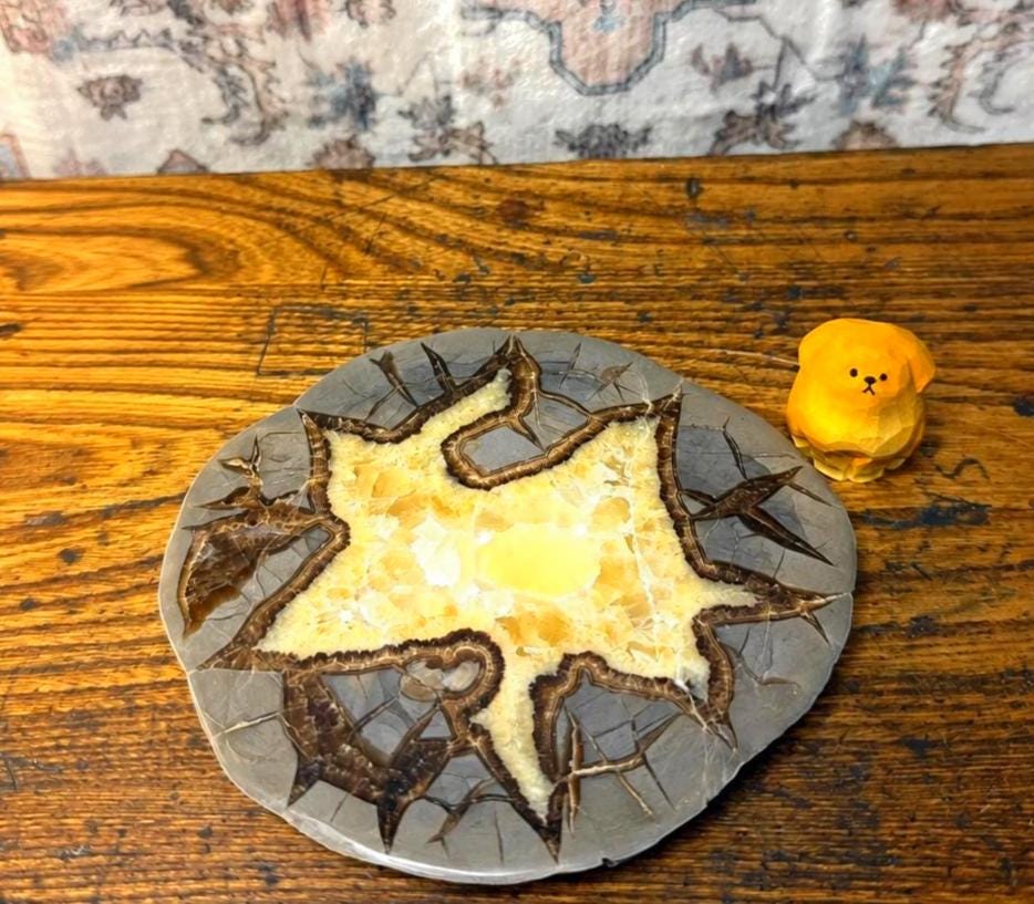 Septarian Nodule Slice Polished | Natural Stone Fossil Display Piece