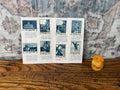 Castel S. Angelo Stamp Booklet with 10 Vintage Stamps, 1950s Rome Ephemera