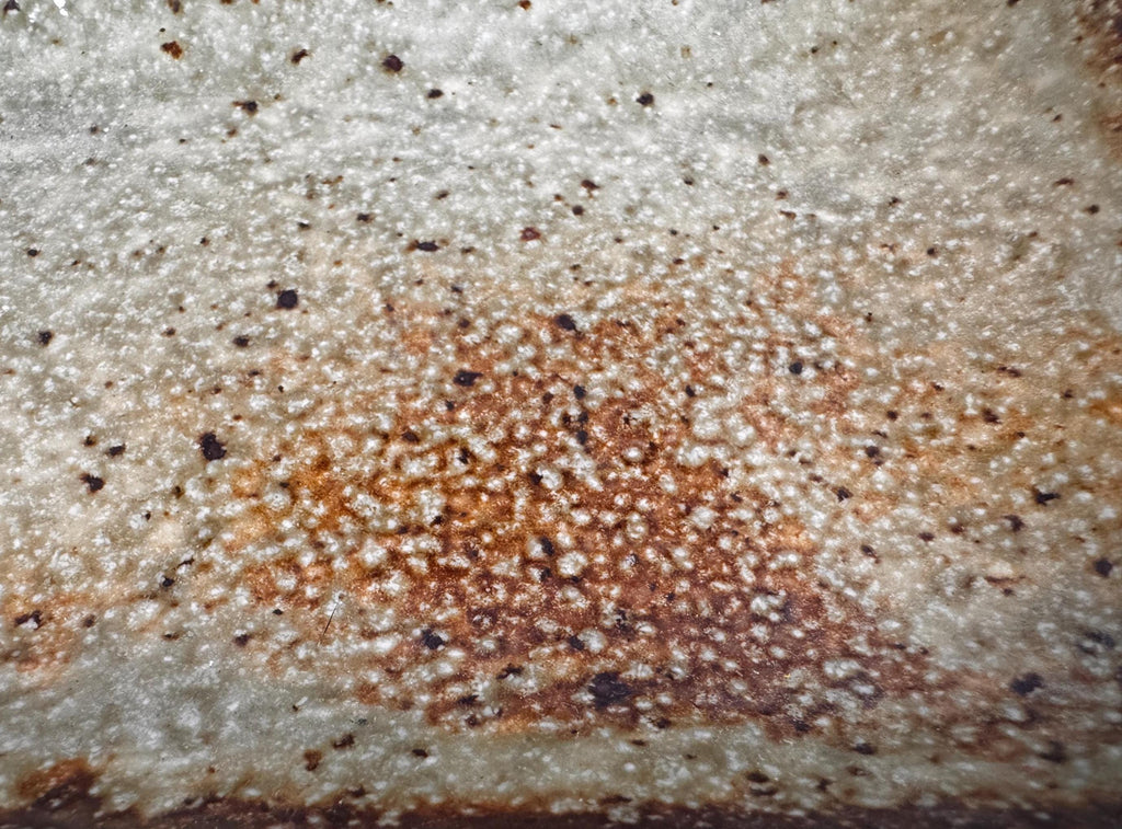 Rectangular Ceramic Serving Tray with Earthy Glaze