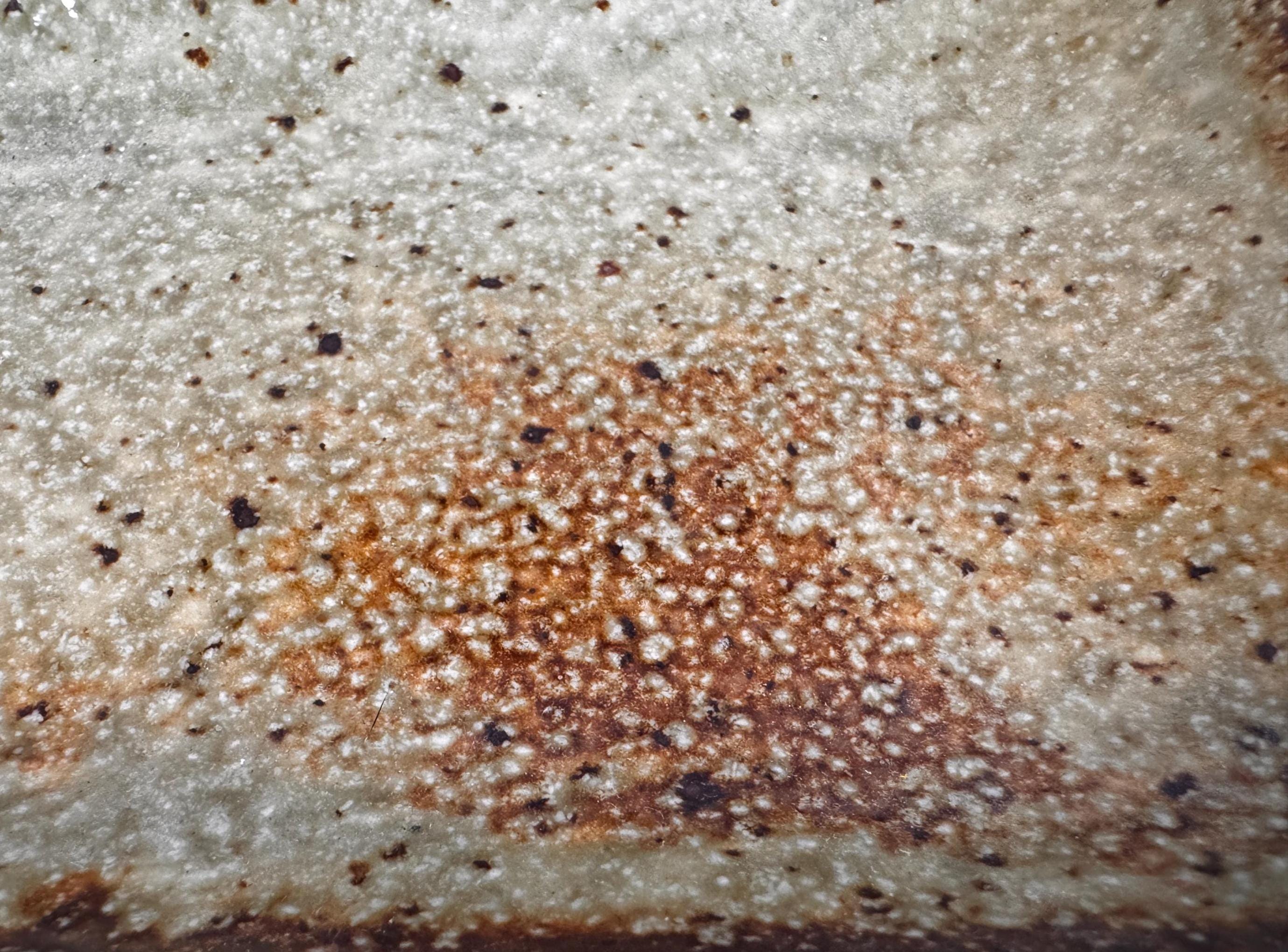 Rectangular Ceramic Serving Tray with Earthy Glaze