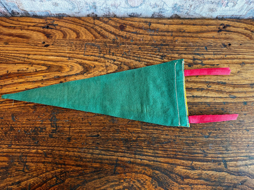 Washington D.C. Felt Souvenir Pennant Featuring The Capitol Illustration