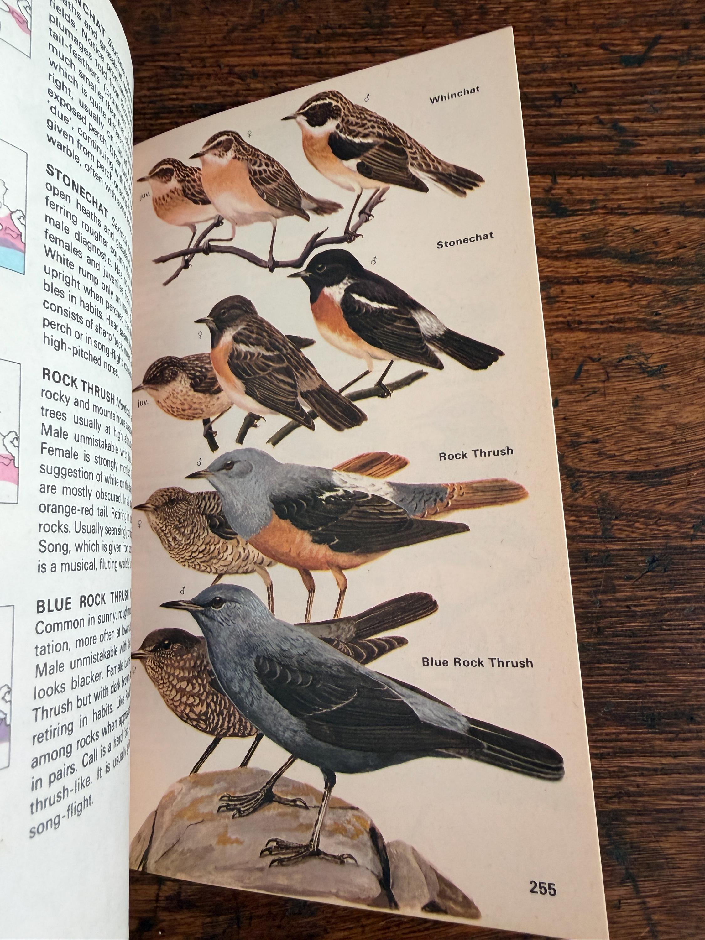 The Hamlyn Guide to Birds of Britain and Europe by Bertel Bruun | 1970 Paperback