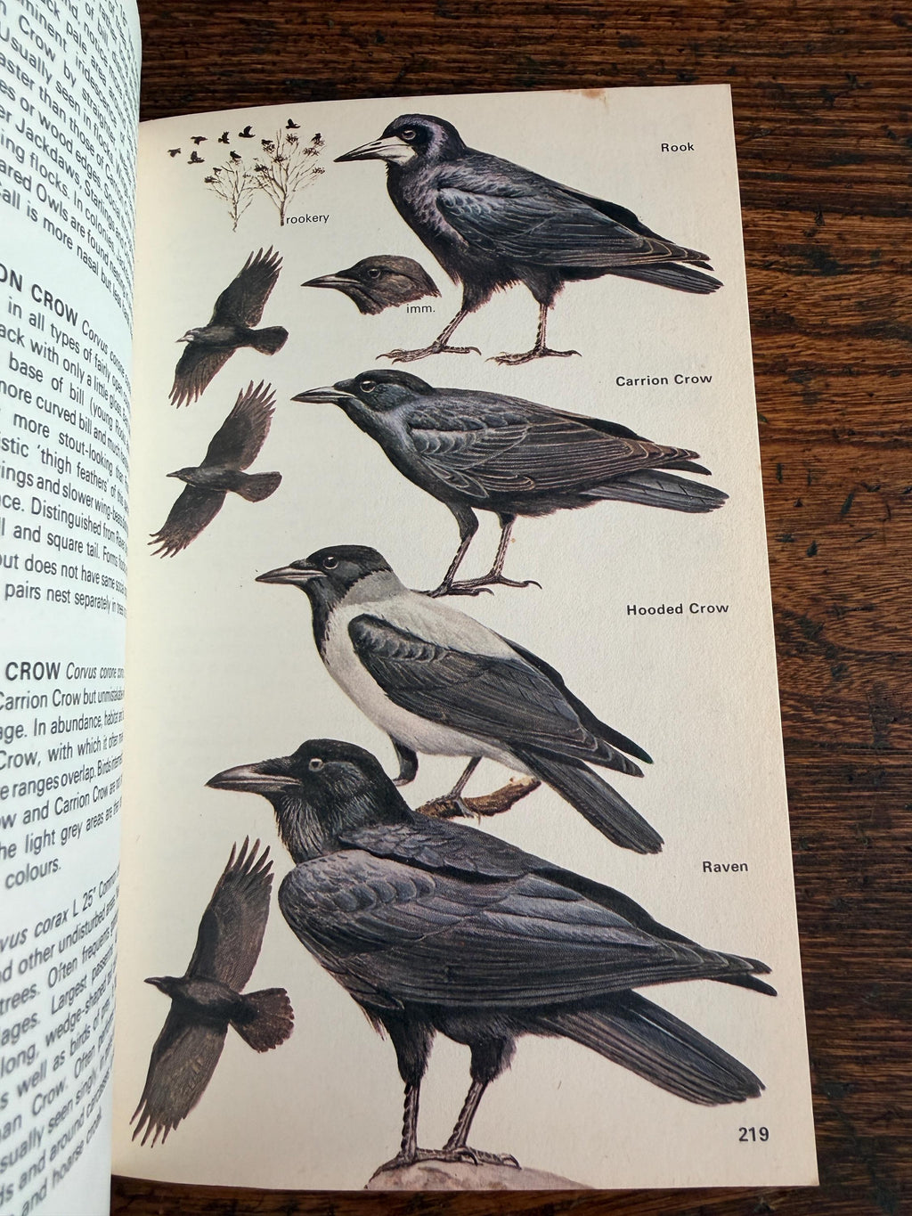 The Hamlyn Guide to Birds of Britain and Europe by Bertel Bruun | 1970 Paperback