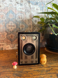 May include: A vintage black Brownie Junior camera with silver detailing and the text "SIX-16". A small wooden dog figurine and a red and white mushroom figurine sit nearby. The camera is on a wooden surface.