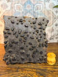 Dotted Paisley Vintage Hand-Carved Textile Printing Block