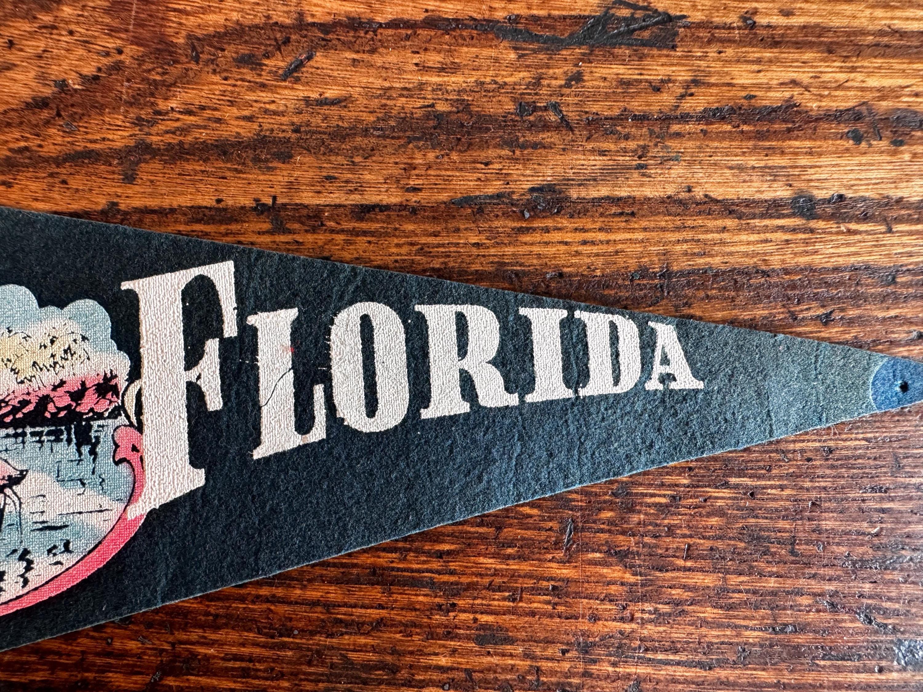 Vintage Florida Felt Souvenir Pennant 9 Inch